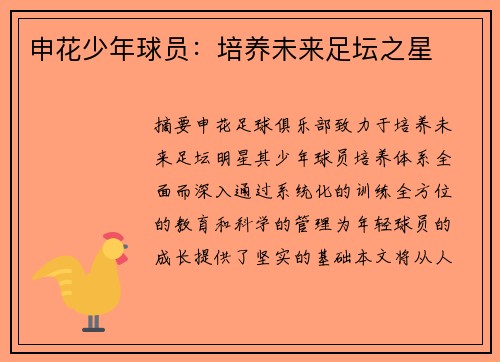 申花少年球员：培养未来足坛之星