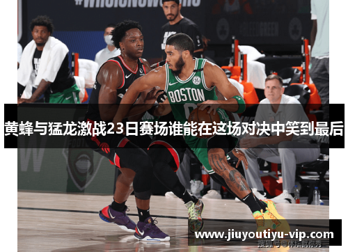 黄蜂与猛龙激战23日赛场谁能在这场对决中笑到最后